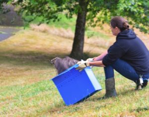 Birds of a Feather Release
