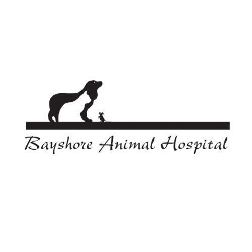 Bayshore Animal Hospital