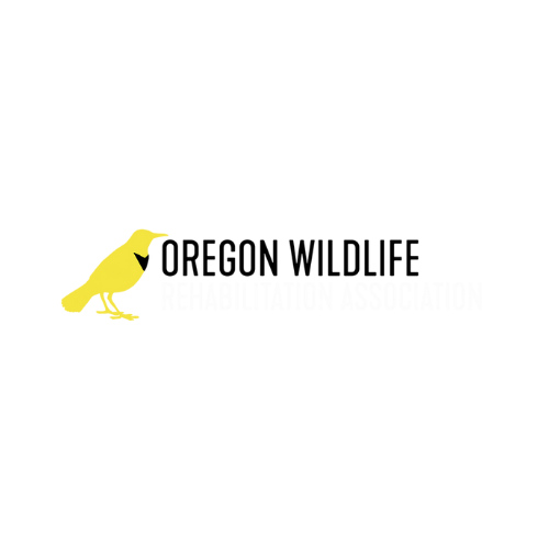 Oregon Wildlife Rehabilitation Association