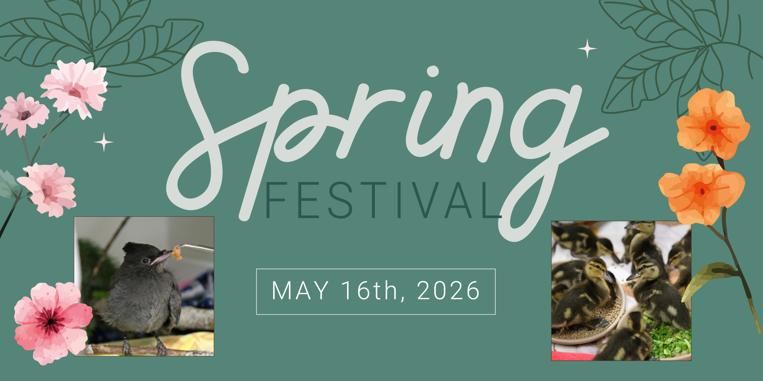 Spring Festival Event Banner