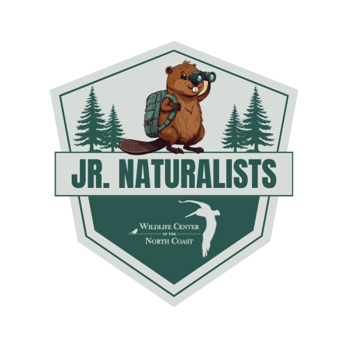 Jr. Naturalists Summer Camp Logo