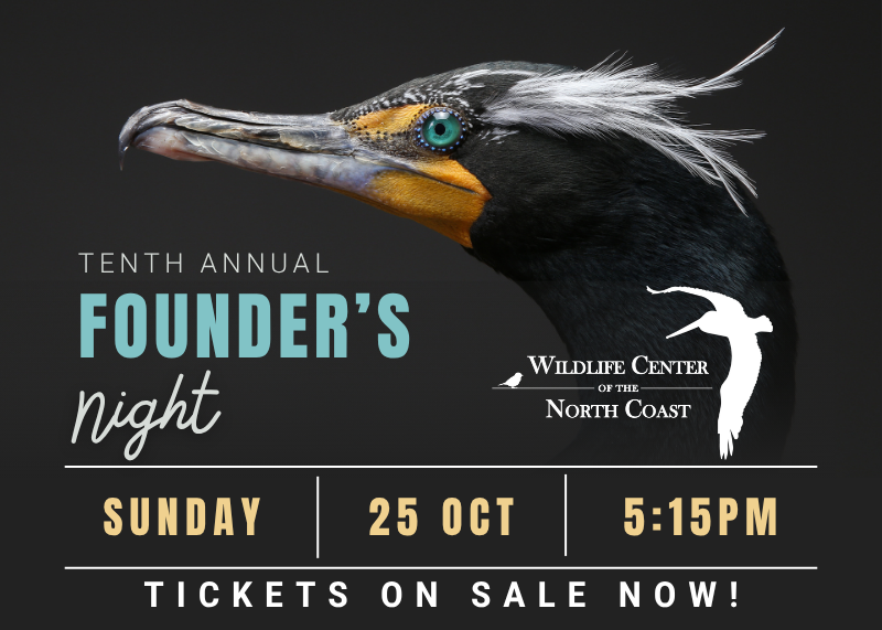 Founder's Night popup