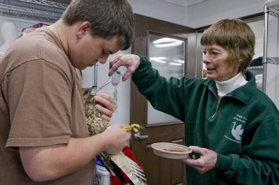 sharnelle-fee-founder-of-wildlife-center-of-the-north-coast-dies-at-68-d764c6b72078f240